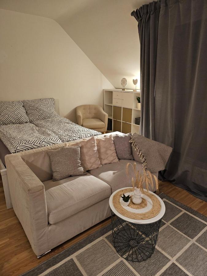 Modern Studio Near Duesseldorf Airport & Messe/Fair Meerbusch Exteriér fotografie